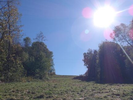 Property in Belmont County, Ohio