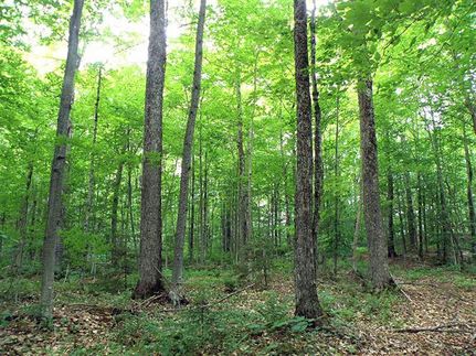 Property in Orleans County, Vermont