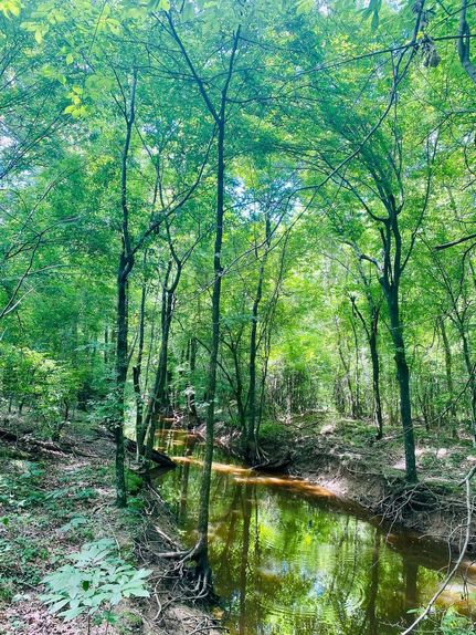 Property in Prentiss County, Mississippi