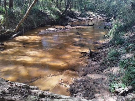 Property in Coffee County, Alabama