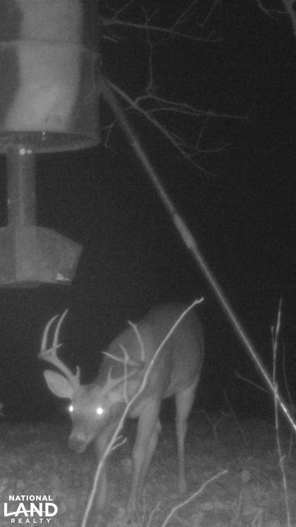 Property in Franklin County, Alabama