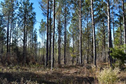 Property in Taylor County, Georgia