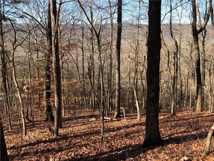 Property in Walker County, Georgia