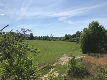 Property in Jefferson Davis County, Mississippi