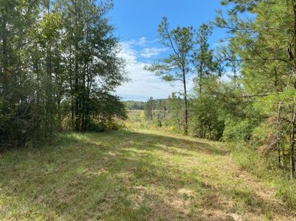 Property in Copiah County, Mississippi
