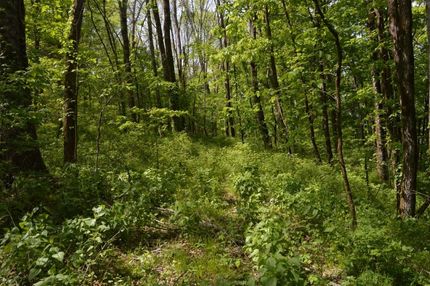 Property in Wilson County, Tennessee