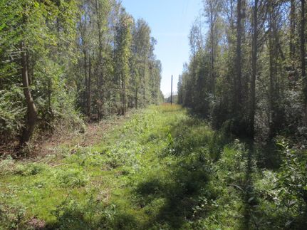 Property in Walthall County, Mississippi