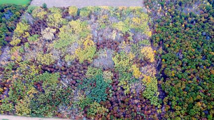 Property in Burnett County, Wisconsin