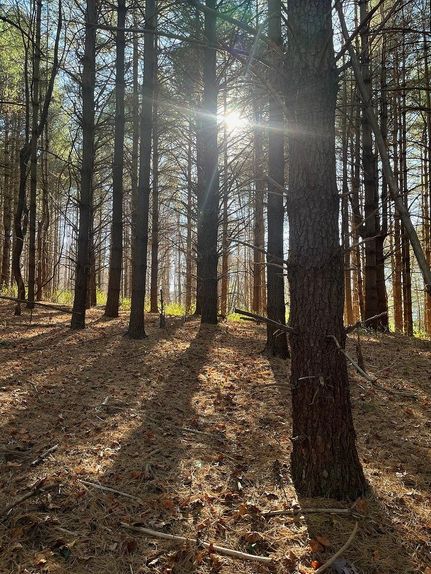 Property in Patrick County, Virginia