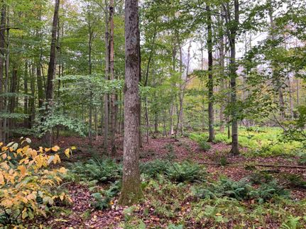 Property in Cayuga County, New York