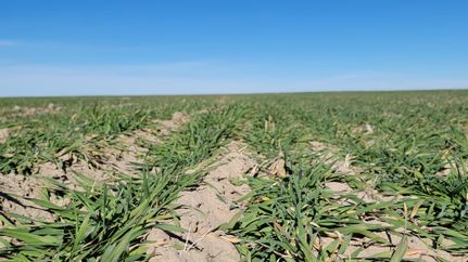 Property in Logan County, Colorado