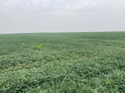 Property in Nuckolls County, Nebraska