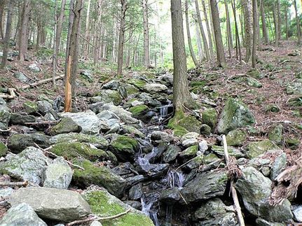 Property in Windsor County, Vermont