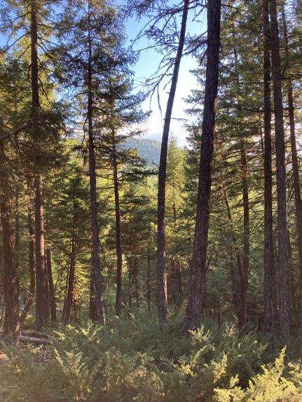 Property in Lincoln County, Montana