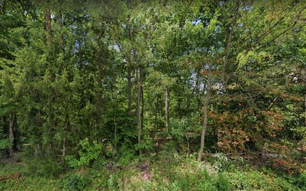 Property in Orange County, Virginia