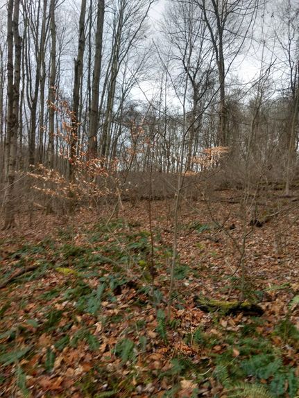 Property in Tuscarawas County, Ohio