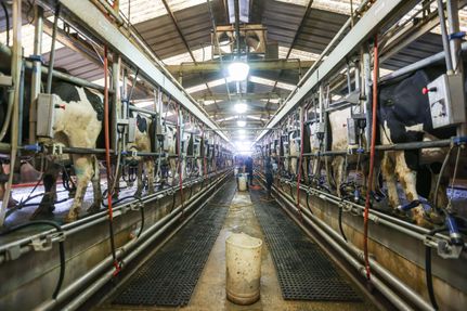 Property in Tulare County, California