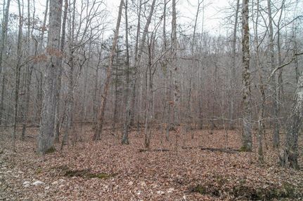 Property in Hickman County, Tennessee