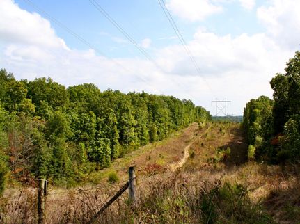 Property in Johnson County, Illinois