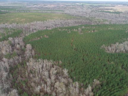Property in Randolph County, Georgia