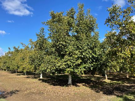 Property in Yuba County, California