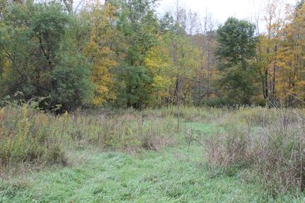 Property in Mineral County, West Virginia