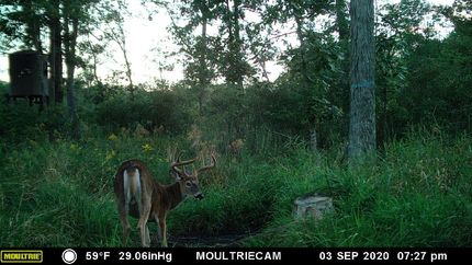 Property in Marquette County, Wisconsin