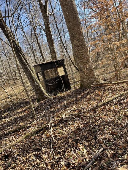 Property in Green County, Kentucky