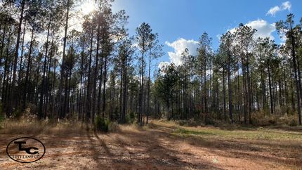 Property in Marengo County, Alabama