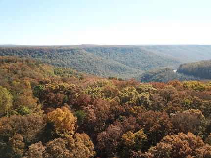 Property in Marion County, Tennessee