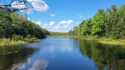 Property in Washington County, Maine