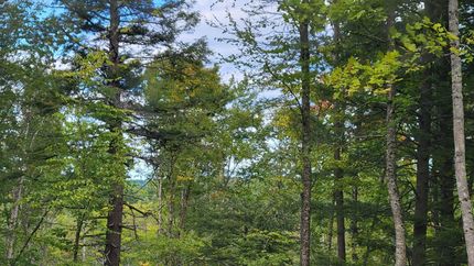 Property in Piscataquis County, Maine