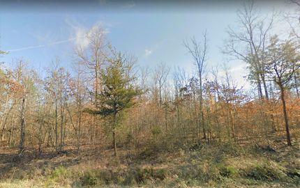 Property in Orange County, Virginia