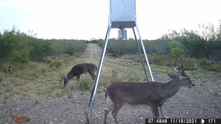 Property in Webb County, Texas