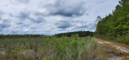 Property in Ware County, Georgia