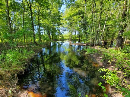 Property in Burke County, Georgia
