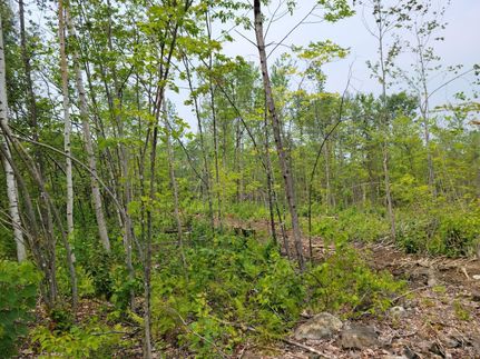 Property in Franklin County, Maine