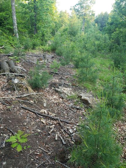 Property in Kennebec County, Maine