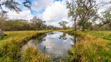 Property in Brazoria County, Texas