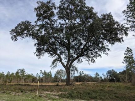 Property in Madison County, Florida