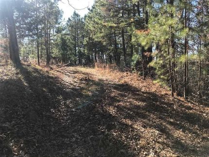 Property in Saline County, Arkansas
