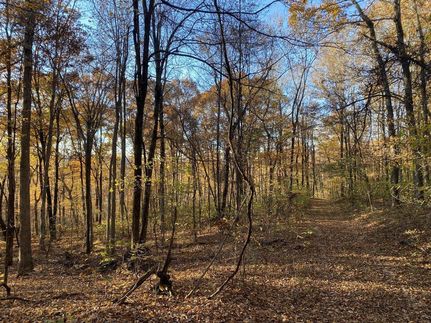 Property in Arkansas County, Arkansas