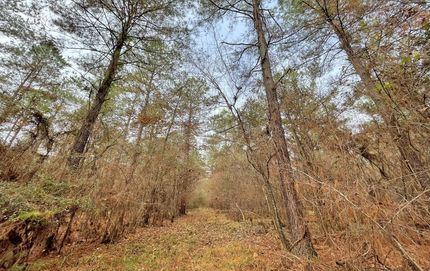 Property in Crenshaw County, Alabama