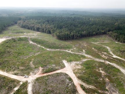 Property in Sumter County, Alabama