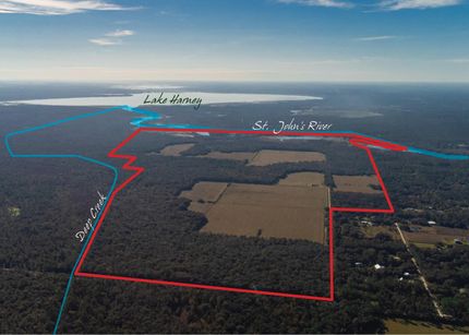 Hunting Land for sale in Volusia County, Florida