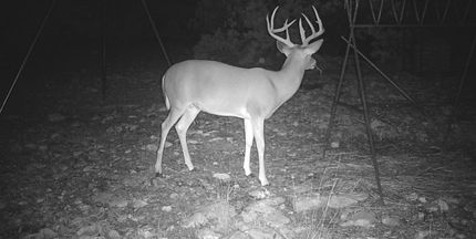 Property in Edwards County, Texas