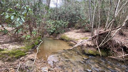 Property in Caldwell County, North Carolina