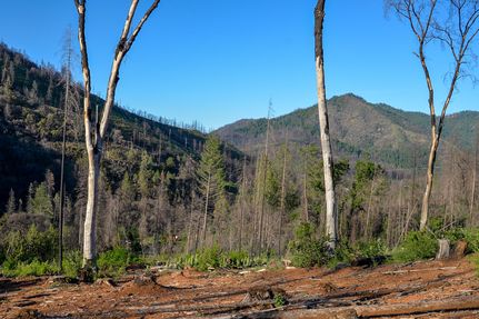 Property in Shasta County, California