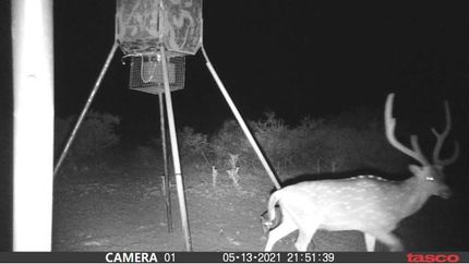 Property in Val Verde County, Texas