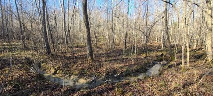 Property in Scott County, Tennessee